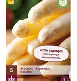 Asperges - Backlim - 5 Planten - Witte / Groene Asperges Zelf Kweken?