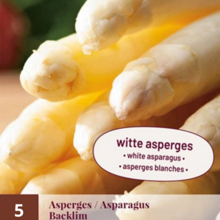 Asparagus - Backlim - 5 Plants - White/Green Asparagus Grow your own?