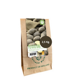 Seed potato Frieslander - Firm Boiling - Buy summer potatoes?