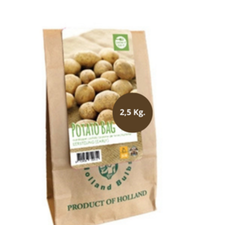 Seed Potato Firstling - Early Potato Variety - Buy Planting Potatoes?