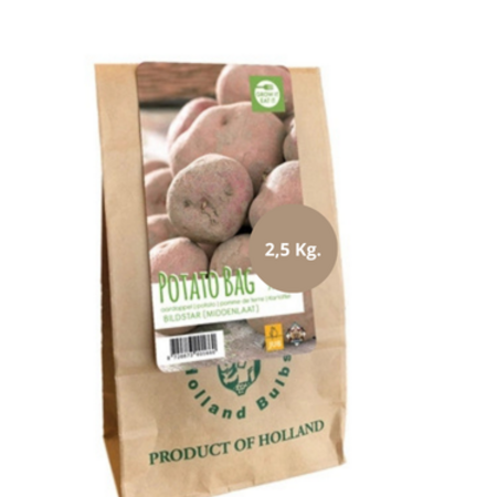 Pootaardappel Bildstar - 2,5 kg. - Iets vastkokend en is heerlijk van smaak.