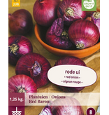 Uien - Red Baron - 1,25 kg. - Rode Uien - Plant / Poot Uien Kopen? - Moestuin