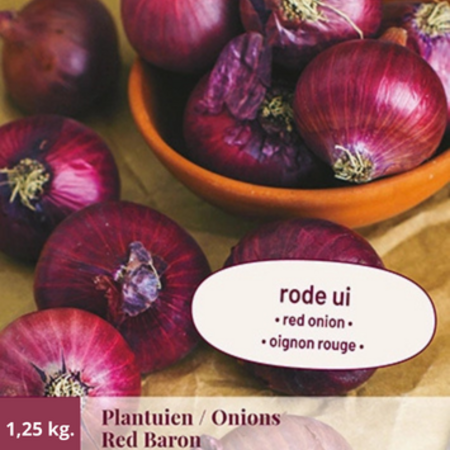 Uien - Red Baron - 1,25 kg. - Rode Uien - Plant / Poot Uien Kopen? - Moestuin