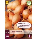 Uien - Sturon - 1,25 kg. - Late / Gele Plantuien - Moestuin - Garden-Select.nl