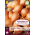 Onions - Sturon - 1,25 kg.