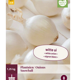 Zwiebeln - Schneeball - 1,25 kg. - Süße Zwiebeln - Weiße Zwiebeln kaufen?