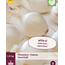 Uien - Snowball - 1,25 kg. - Zoete Uien - Witte Plantuien Kopen?