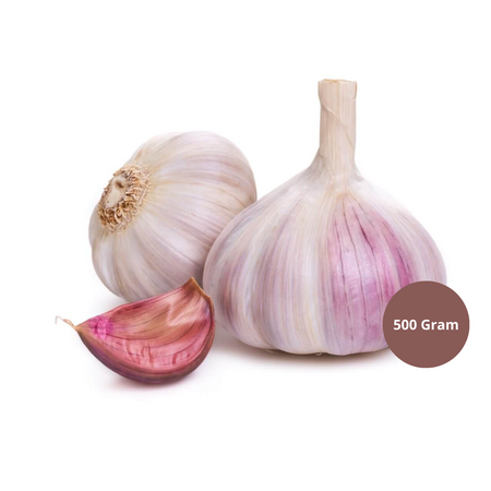 Garlic Morado - 500 Grams - Vegetable Garden - Garden Select