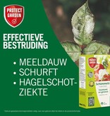 Protect Garden Curalia Protect 200 grams - Spray sulfur - Against various fungi - Garden Select
