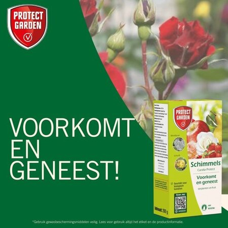 Protect Garden Curalia Protect 200 g – Schwefelspray – Gegen verschiedene Pilze – Garden Select