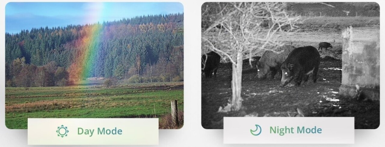 HikMicro Hikmicro Raptor RQ50LN Thermische Binoculair HikMicro Hikmicro Raptor RQ50LN Thermische Binoculair