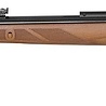 Gamo Gamo Hunter 440 Air Rifle 4.5 mm with Wooden Stock Gamo Gamo Hunter 440 Air Rifle 4.5 mm with Wooden Stock