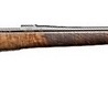 CZ Lefthanded rifle CZ 557 American .308 Win. CZ Lefthanded rifle CZ 557 American .308 Win.