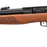 Gamo Gamo Riser Punisher Wood PCP luchtbuks 5,5 mm incl. 3-9x40 richtkijker Gamo Gamo Riser Punisher Wood PCP luchtbuks 5,5 mm incl. 3-9x40 richtkijker