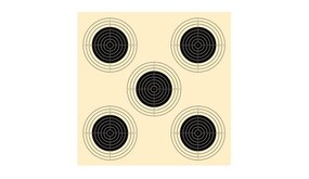 Schmid Luchtgeweerschijf 10 m 5 visuelen 1314SN (genummerd) Schmid Luchtgeweerschijf 10 m 5 visuelen 1314SN (genummerd)