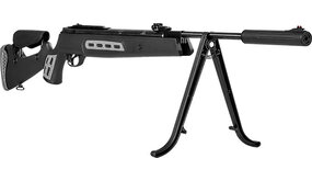 Hatsan Hatsan AR BB 125 Sniper Vortex Hatsan Hatsan AR BB 125 Sniper Vortex