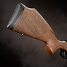 FX Airguns FX DRS MKII Classic Walnut Sniper FX Airguns FX DRS MKII Classic Walnut Sniper