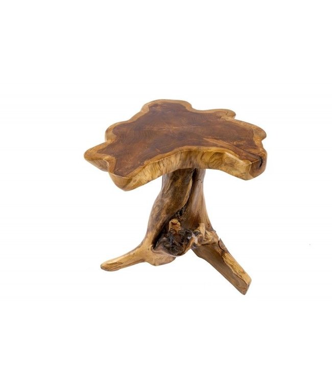 Invicta Interior Massieve bijzettafel ROOT 40cm teak met jaarringen - 38237