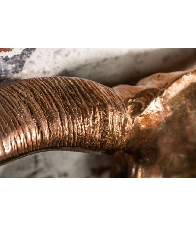 Invicta Interior Design schedel MATADOR 70cm gevlamd koper aluminium wanddecoratie - 39533