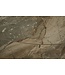 Invicta Interior Uitschuifbare eettafel INCEPTION 130-190cm taupe keramiek gemaakt in Italie - 41451