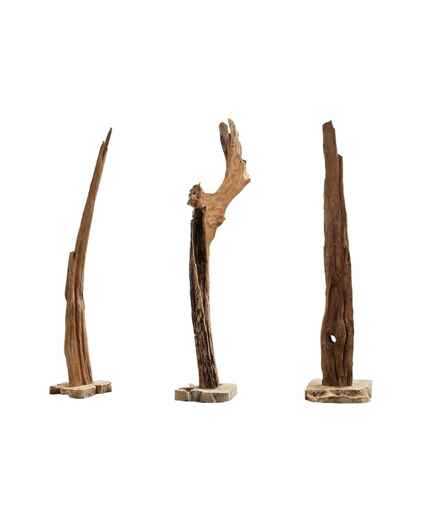 Invicta Interior Natuurlijke sculptuur REEF 100-125cm gemaakt van drijfhout houten accessoire - 35488