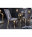 Invicta Interior Elegante stoel MODERN BAROK grijs fluweel met gouden leeuwenkop - 42318