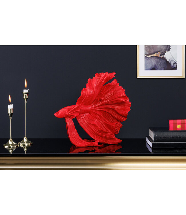 Invicta Interior Design decoratief figuur vechtende vis CROWNTAIL 35cm rood Betta vissculptuur - 43173