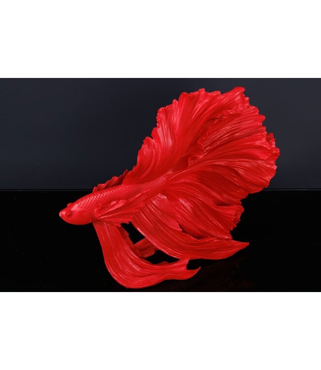 Invicta Interior Design decoratief figuur vechtende vis CROWNTAIL 35cm rood Betta vissculptuur - 43173