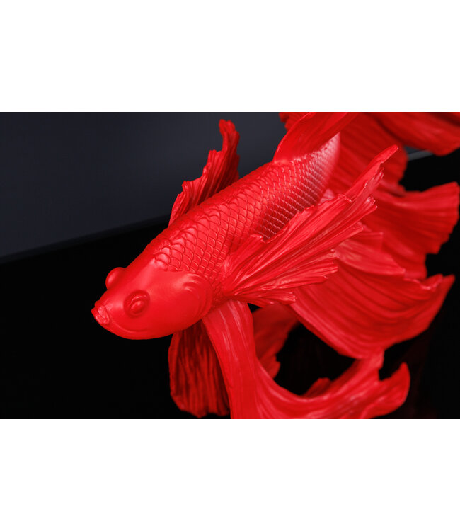 Invicta Interior Design decoratief figuur vechtende vis CROWNTAIL 35cm rood Betta vissculptuur - 43173