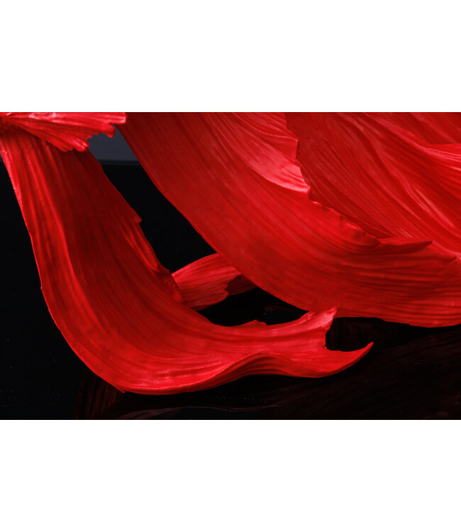 Invicta Interior Design decoratief figuur vechtende vis CROWNTAIL 35cm rood Betta vissculptuur - 43173