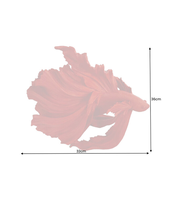 Invicta Interior Design decoratief figuur vechtende vis CROWNTAIL 35cm rood Betta vissculptuur - 43173