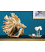 Invicta Interior Design decoratief figuur vechtende vis CROWNTAIL 65cm goud Betta vissculptuur - 43176