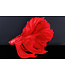 Invicta Interior Design decoratief figuur vechtende vis CROWNTAIL 65cm rood Betta vissculptuur - 43177