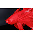 Invicta Interior Design decoratief figuur vechtende vis CROWNTAIL 65cm rood Betta vissculptuur - 43177