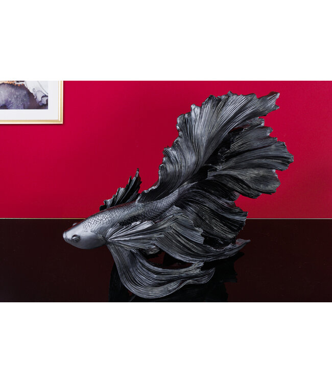 Invicta Interior Design decoratief figuur vechtende vis CROWNTAIL 65cm zwart Betta vissculptuur - 43178