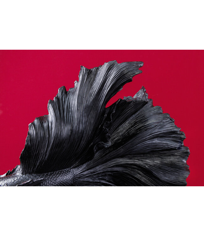 Invicta Interior Design decoratief figuur vechtende vis CROWNTAIL 65cm zwart Betta vissculptuur - 43178