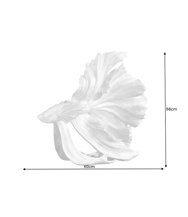 Invicta Interior Design decoratief figuur vechtende vis CROWNTAIL 65cm zwart Betta vissculptuur - 43178