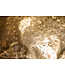 Invicta Interior Exclusief wandsculptuur SKULL XXL 40cm gouden decoratieve schedel - 38385