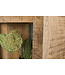 Invicta Interior Stevige plank IRON CRAFT 176cm mangohouten boekenkast vier vakken industrieel design - 42375