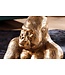 Invicta Interior Ronde salontafel WILDLIFE KONG 60cm goud metaal glas aap figuur gorilla sculptuur handgemaakt - 43518