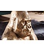 Invicta Interior Ronde salontafel WILDLIFE KONG 60cm goud metaal glas aap figuur gorilla sculptuur handgemaakt - 43518