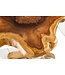 Invicta Interior Massief houten bijzettafel ROOT 70cm naturel teakhout gemaakt van wortelhout in paaldesign - 44714