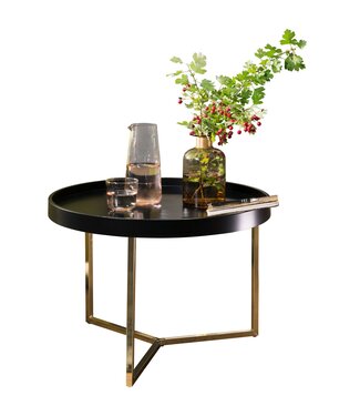 BYmeubello Salontafel Ericview  - WL5M763