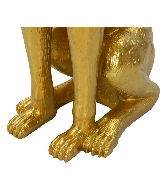 Mauro Ferretti HONDENKUIL MET DIENBLAD CM 30X64X91