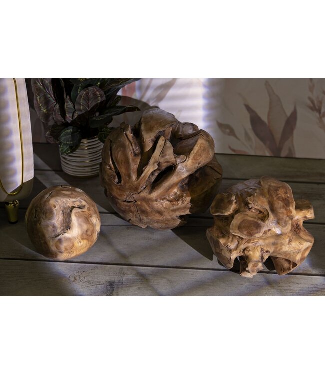 Mauro Ferretti BOL TEAKHOUT CM Ø 50