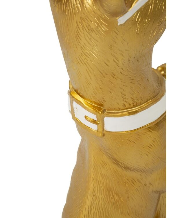 Mauro Ferretti HONDENKUIL MET DIENBLAD CM 27X51X74