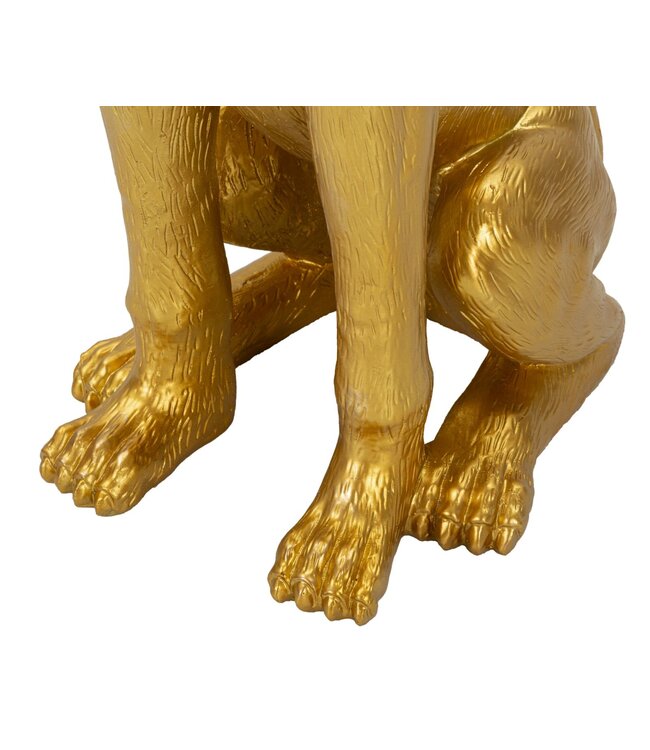 Mauro Ferretti HONDENKUIL MET DIENBLAD CM 27X51X74