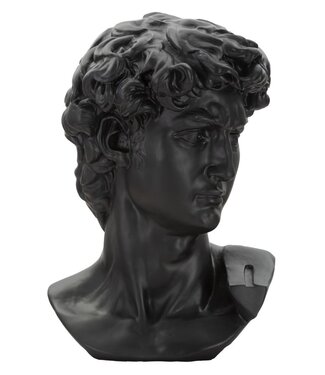 Mauro Ferretti GROTE ZWARTE KOP CM 44X35,5X60