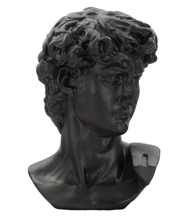 Mauro Ferretti GROTE ZWARTE KOP CM 44X35,5X60