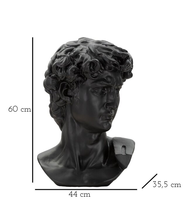 Mauro Ferretti GROTE ZWARTE KOP CM 44X35,5X60